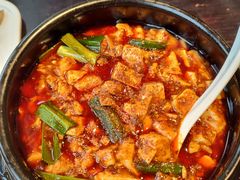 -陈麻婆豆腐总店