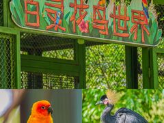 -常州淹城野生动物世界