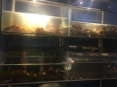 -玖食龙虾主题餐厅