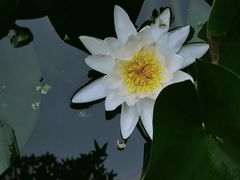 -莲湖公园