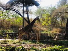 -北京野生动物园