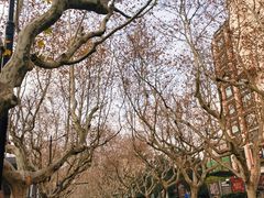 -一尺花园(安和花园店)