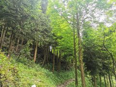 -龙窝子