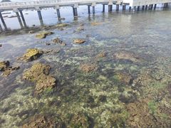 -三亚西岛海洋文化旅游区