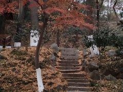 -伯先公园