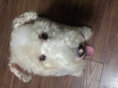 -宠颐生中康贝怡动物医院