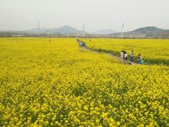 -西海岸生态观光园