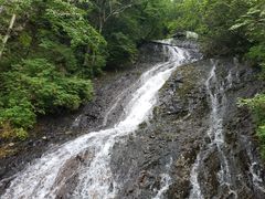 -望天鹅景区