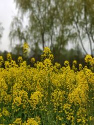 -IDO婚纱摄影(上海旗舰店)