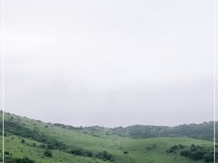 -大姆山草场