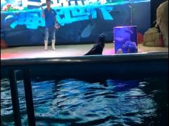 -大明湖海底世界