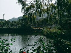 -大埔公路-马料水段香港中文大学(公交站)