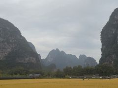 -明仕田园