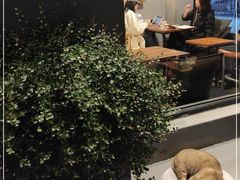 -转山咖啡(松柏社区店)