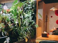 -森味薪火烧•烧鸟居酒屋•日本料理(望京店)