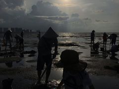 -北海金海湾红树林生态旅游区