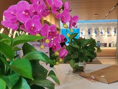 -上海协通福骋福特4S店(汶水路店)
