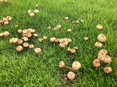 -文华公园(禅城区)