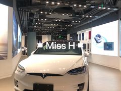-TESLA 特斯拉(上海太古汇体验店)