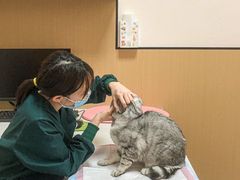-瑞派康怡24h宠物医院·犬猫医疗中心·微创绝育(瑞景分院)