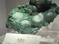 -湖南省地质博物馆