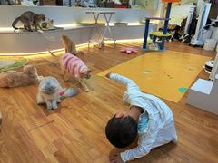 -COLOR PETS 撸猫馆·购猫·猫咖(长风大悦城店)