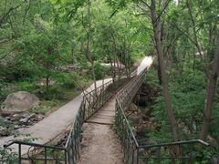 -云岫谷游猎自然风景区