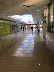 -沈阳市儿童医院