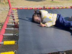 -前小桔亲子创意农场·草莓采摘·露营烧烤