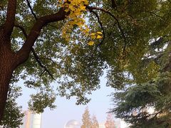 -静安公园(静安寺街道)