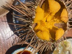 海胆-桂马·日本料理·海胆·海鲜饭·酒场(民主广场店)