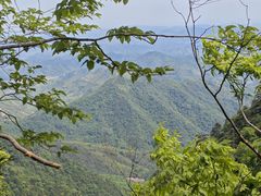 -天目山大树王景区