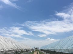 -庞各庄西瓜蔬菜采摘园·锦华瓜园