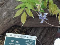 -郑和公园