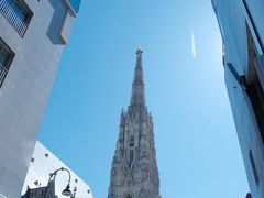 -斯蒂芬主教座堂(Stephansdom)