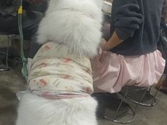 -同心烧烤(总店)