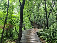 -帽儿山国家森林公园