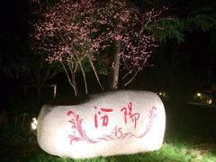 -上海汾阳花园酒店