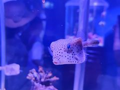 -太平洋海底世界