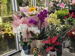 -MCJ-花店(西罗园店)