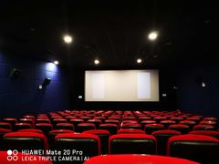 -大地影院(上海南汇店)