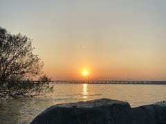 -宝安西湾红树林湿地公园