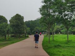 -盘龙城国家考古遗址公园