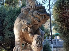 -昆明动物园