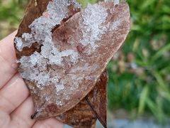 -老杭州面馆(丰盛九玺店)