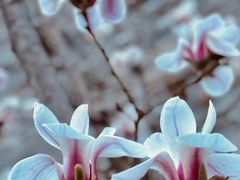 -东华门大街小区