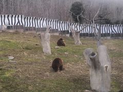 -西安秦岭野生动物园