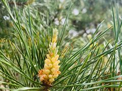 -长春公园(普阳街道)