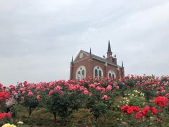 -都江堰玫瑰花溪谷