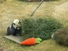 -无锡动物园·太湖欢乐园
